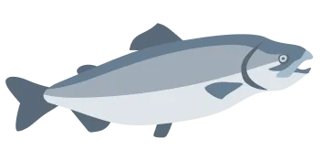 食材イラスト